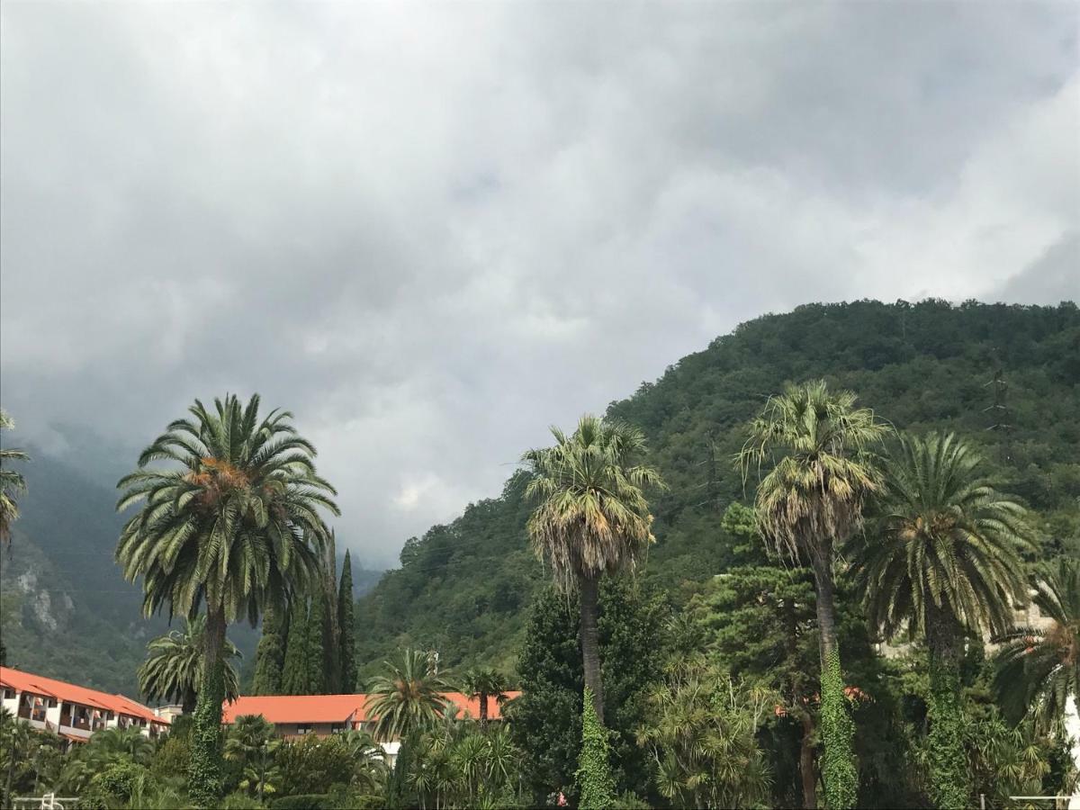 Rit Hotel Gagra Exterior photo